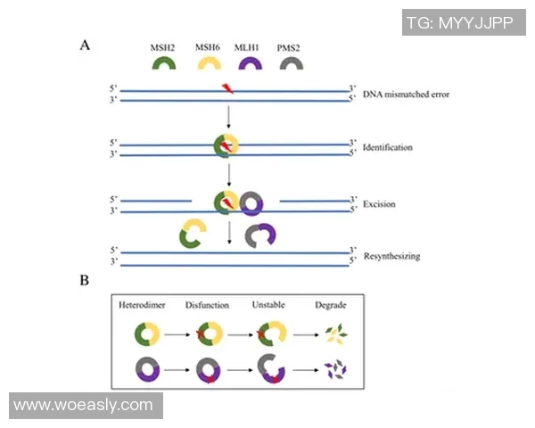 最近比赛mmr-最近比赛MMR，深度解析与前景展望-最近比赛mmr